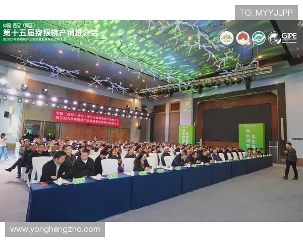 西安企业家创新发展探索：打造高质量经济增长新动能